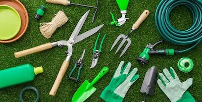8 užitočných pomocníkov pre záhradkárov